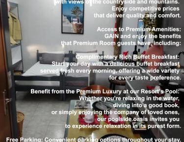 Petite Economy Studio Nr 3