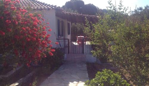 Villa with Garden View