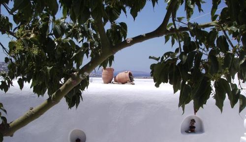 Double or Twin Room with Pool View