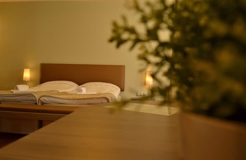 Ioannina Hotel | Ellopia Point Hotel