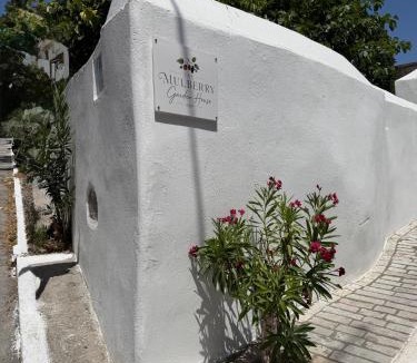 Pythagorion Apartment | The Mulberry- Garden House in Pythagorio