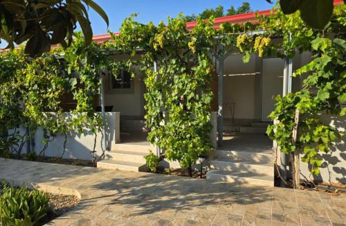 Salamis Apartment | Garden Room by the Vineyard Salamis