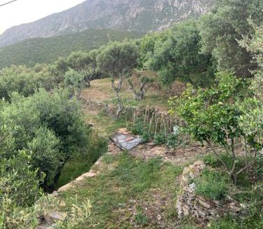 Ikaria House | Ikarian traditional house