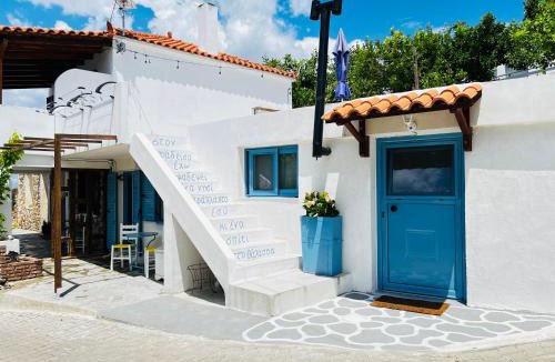 Nerotrivia House | Aloni Petit House