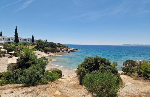 Agios Emilianos Apartment | Archos Seafront Apartments