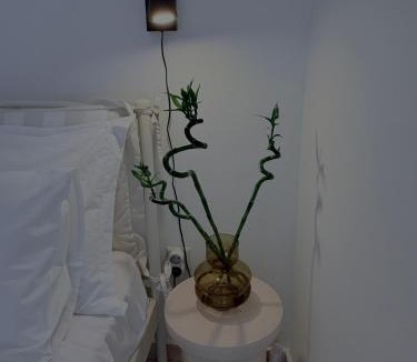 Agios Nikolaos Apartment | Selini Apartments Mani