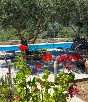 Gavalochori Apartment | Lemonaki peaceful pool apartment near Chania & Almyrida