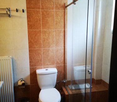 Goura Hotel | Olvios Hotel