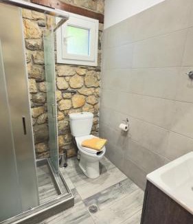 Ramia Ski Chalet | Villa Lochia - Το Πέτρινο του Θωμά