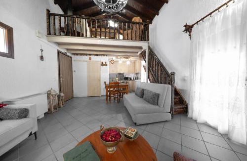 Arachova Ski Chalet | Chalet Renata 1 Livadi Arachovas