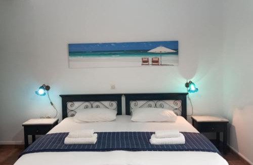 Kounopetra Apartment | Villa Carina