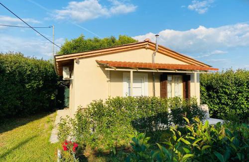 Archaia Olympia Villa | The mansion of Dionisos and Dimitras 5