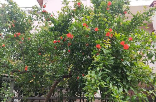 Nea Kios Apartment | Wine Reflections Apartment near Nafplio