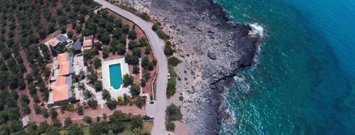 Kardamyli Villa | Salvia