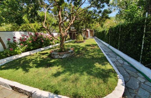 Koukounaries Apartment | Dionisos Studios and Apts Skiathos