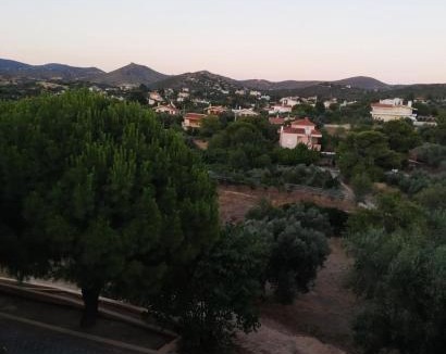 Palaia Fokaia Villa | Villa Vena