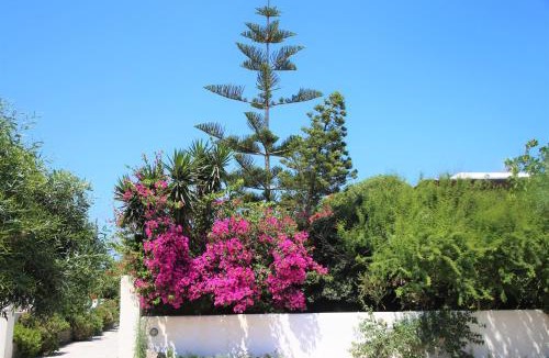 Adamas Apartment | Pension Ioanna