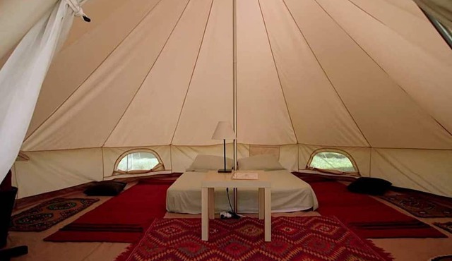 Cocoon Tent in an Olive Grove