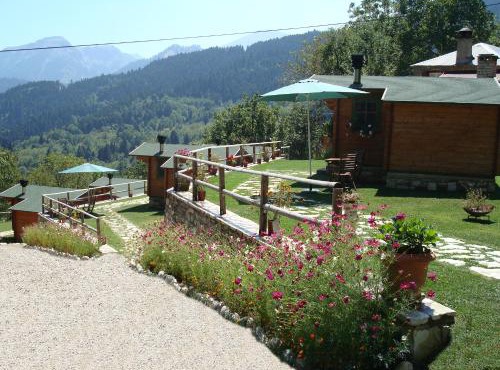 Wild Life Chalets