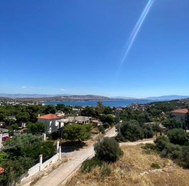 Selinia Apartments
